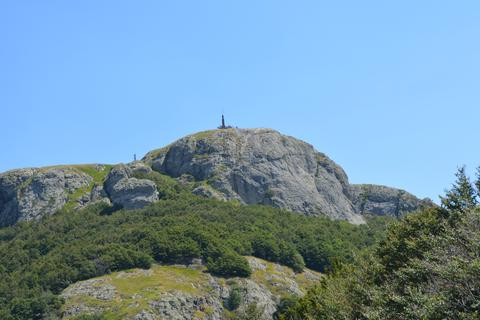 Maggiorasca